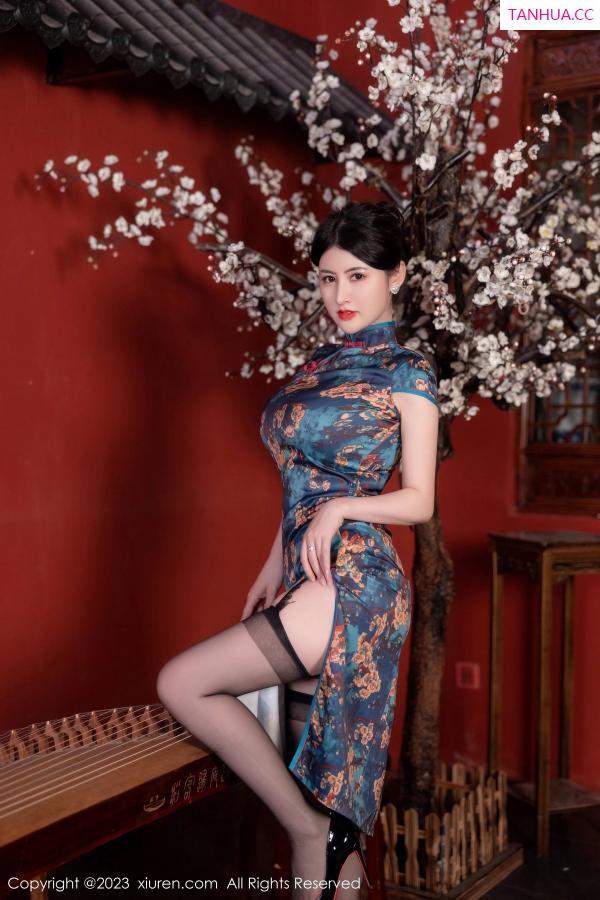 陈诗诗 诗诗 [XiuRen]高清写真图 2023.07.10 No.7051 诗诗kiki 旗袍黑丝第13张图片